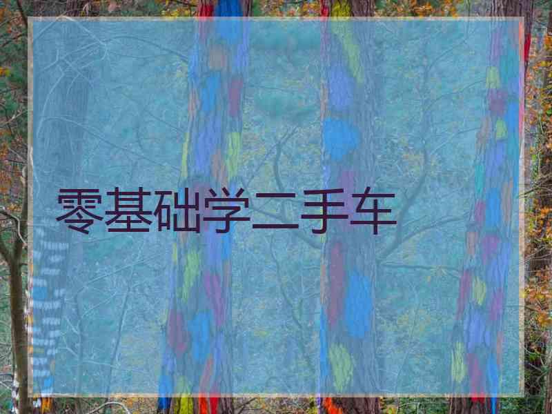 零基础学二手车