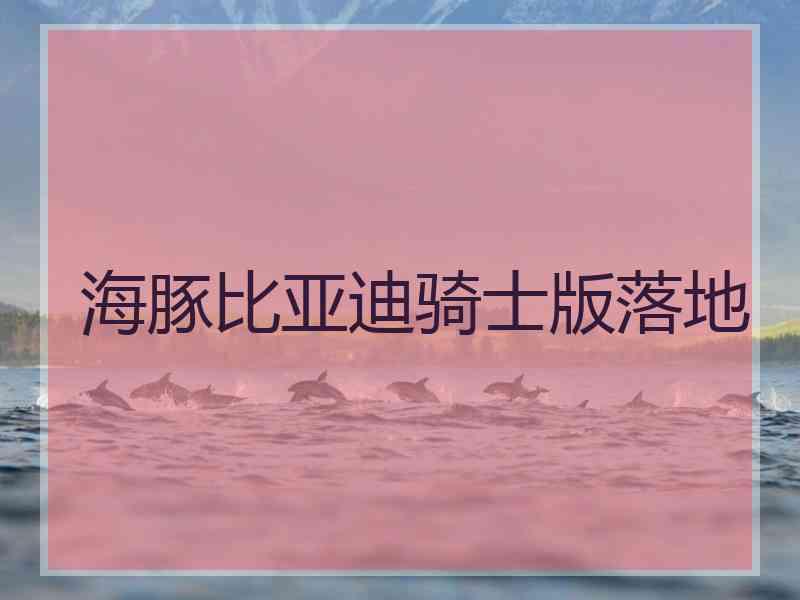 海豚比亚迪骑士版落地