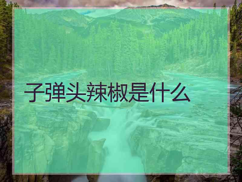 子弹头辣椒是什么
