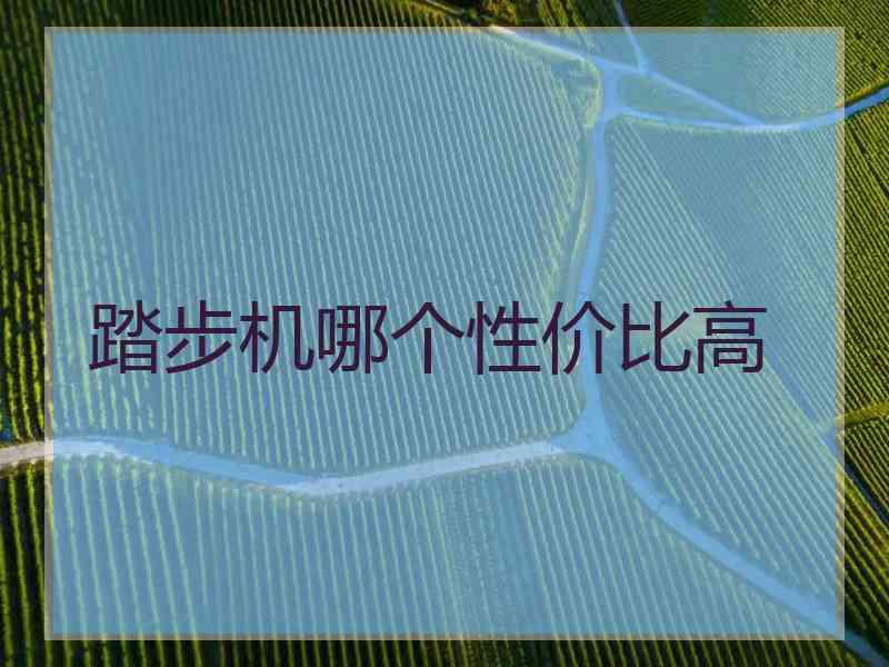 踏步机哪个性价比高