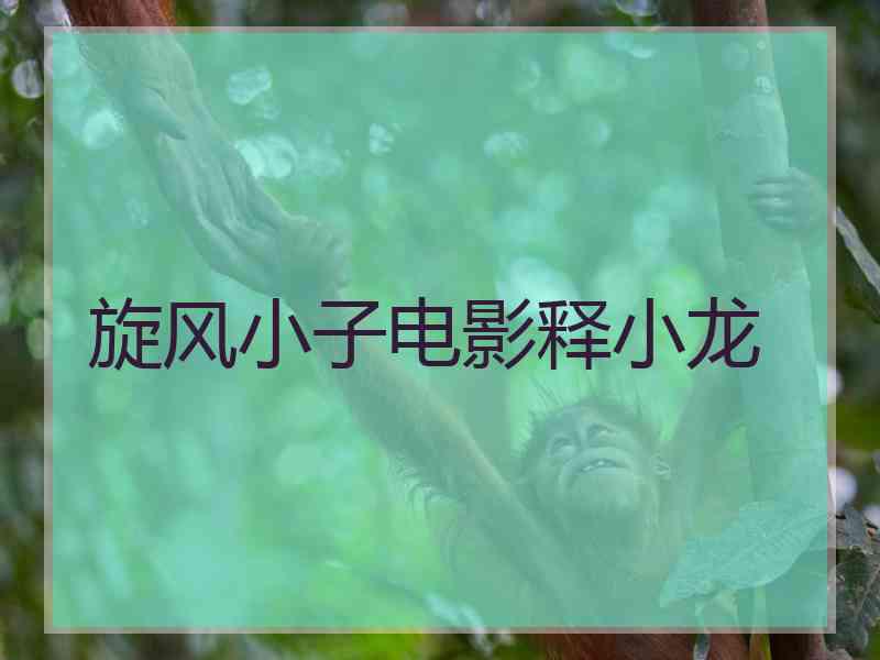 旋风小子电影释小龙