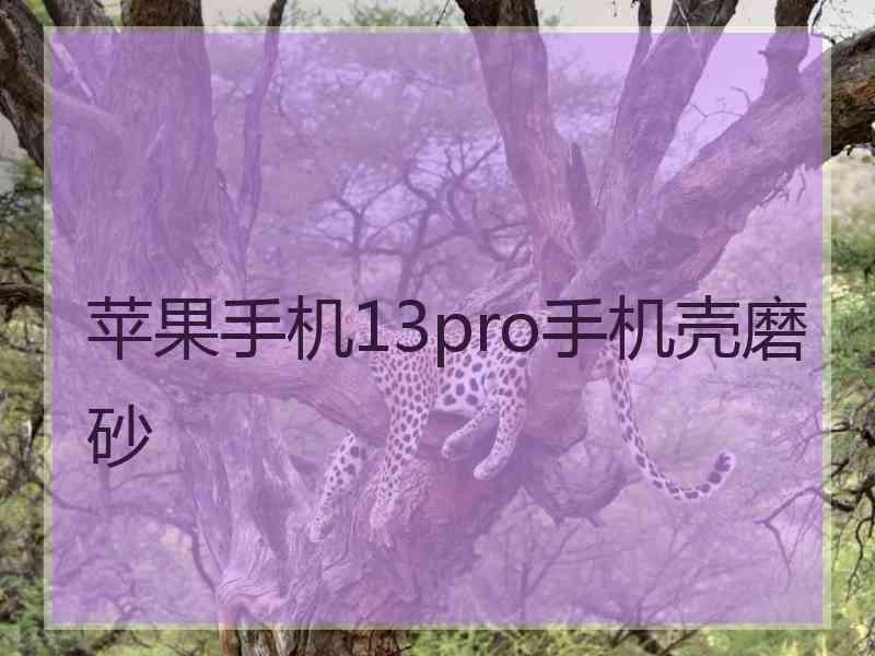 苹果手机13pro手机壳磨砂
