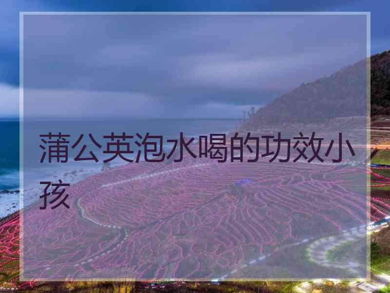 蒲公英泡水喝的功效小孩