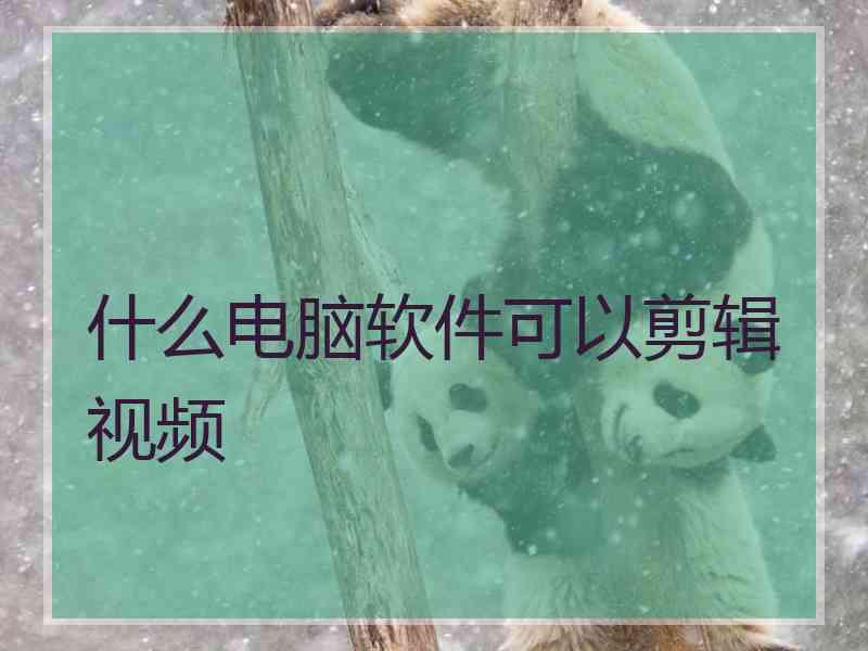 什么电脑软件可以剪辑视频