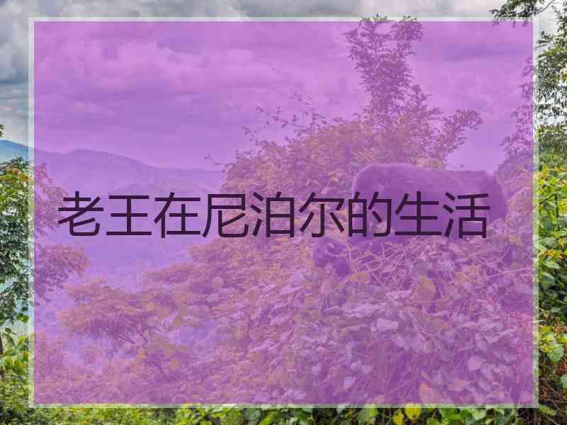 老王在尼泊尔的生活
