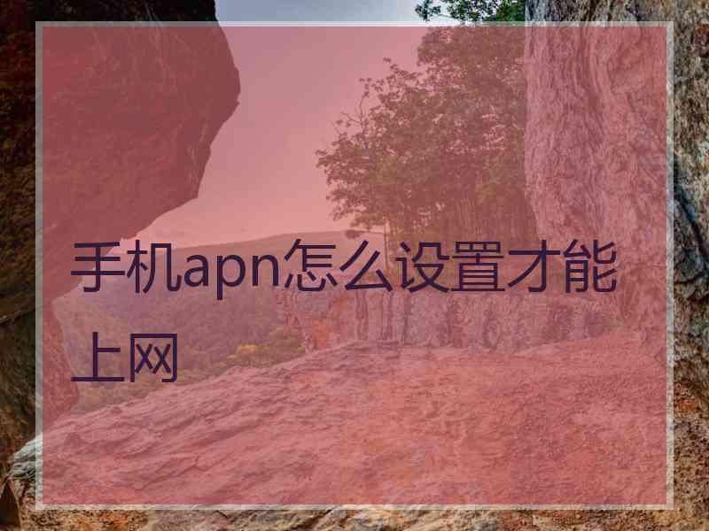 手机apn怎么设置才能上网