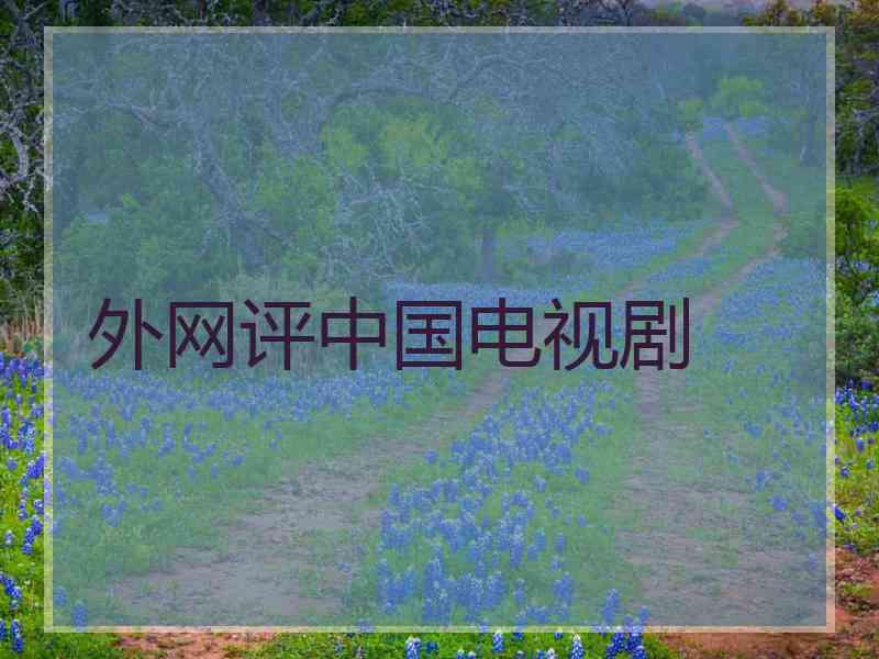 外网评中国电视剧