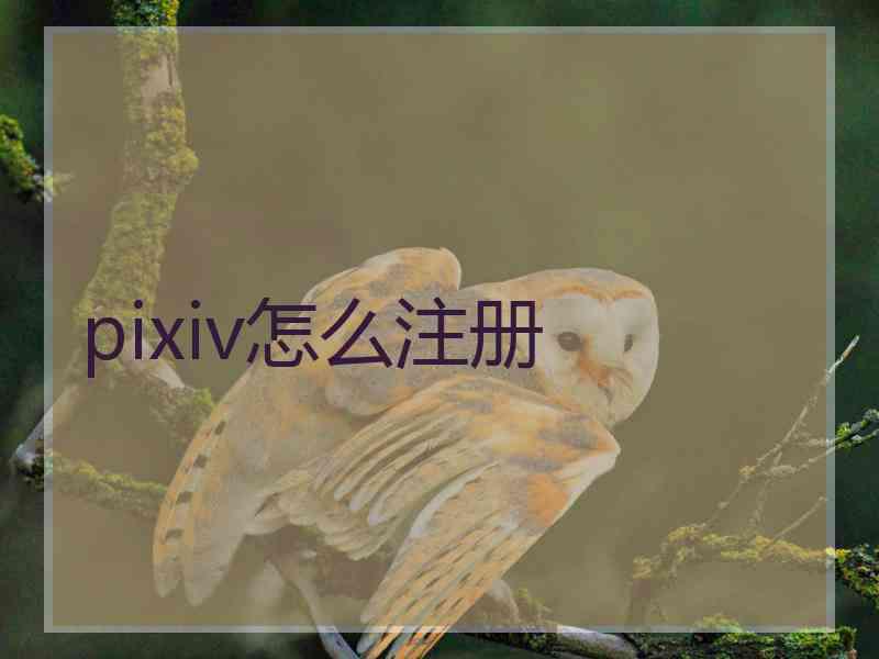 pixiv怎么注册