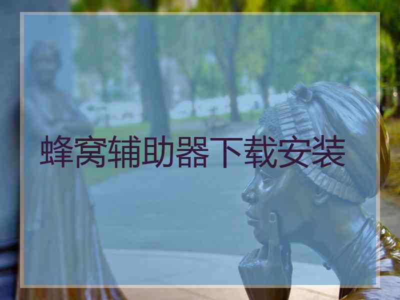 蜂窝辅助器下载安装