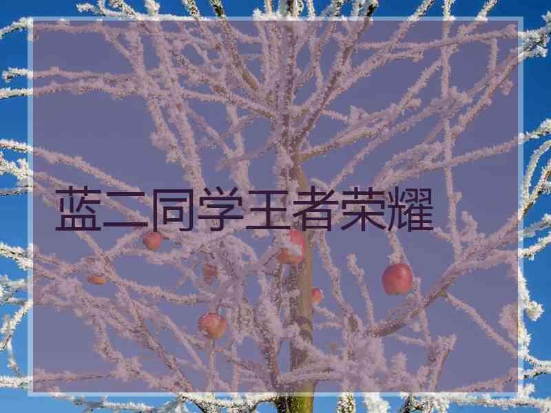 蓝二同学王者荣耀