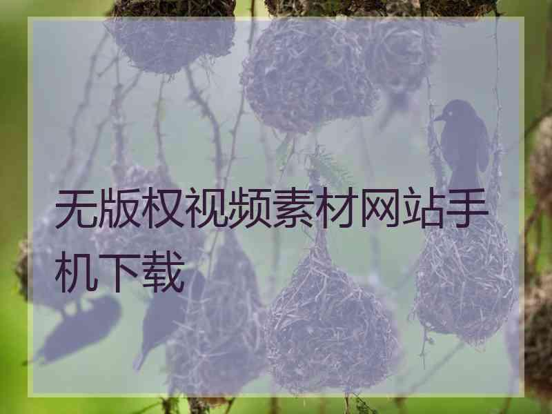 无版权视频素材网站手机下载