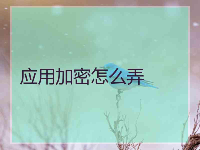 应用加密怎么弄