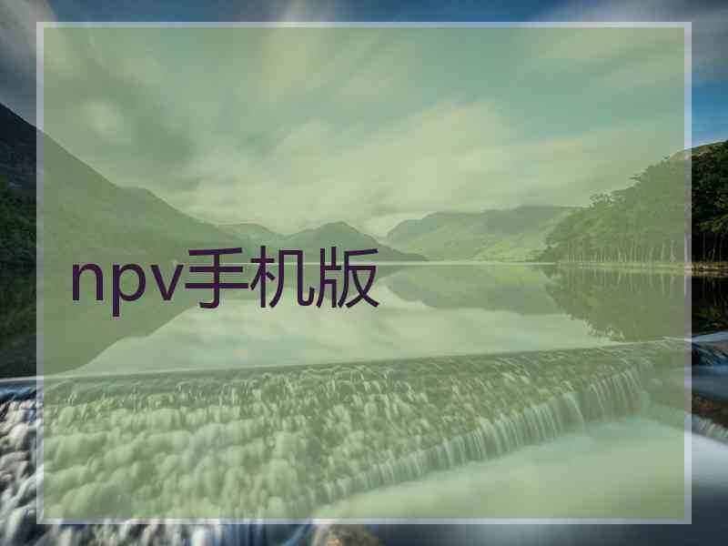 npv手机版