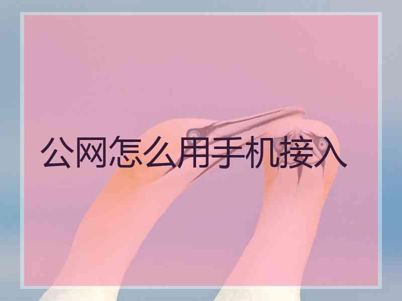公网怎么用手机接入