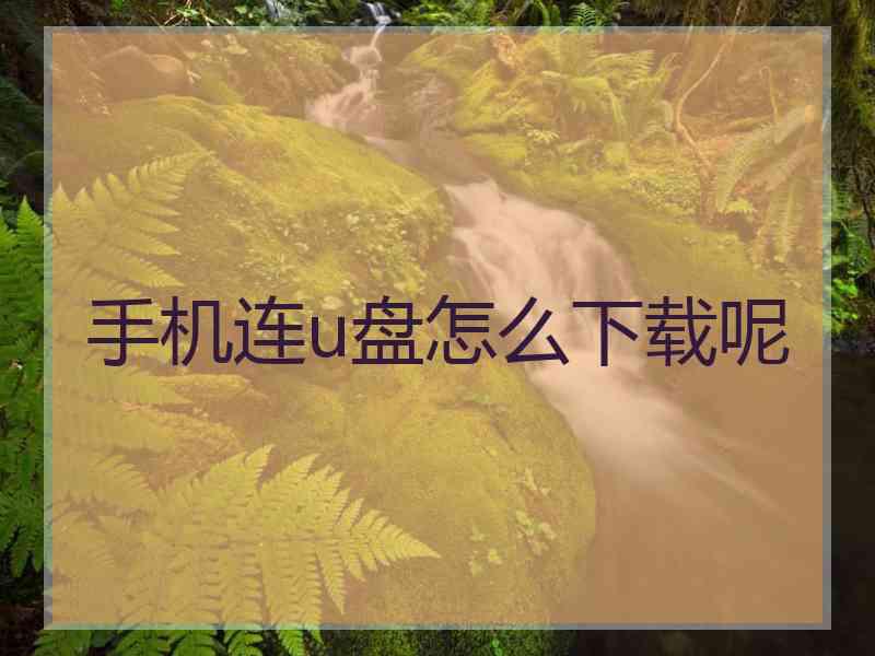 手机连u盘怎么下载呢