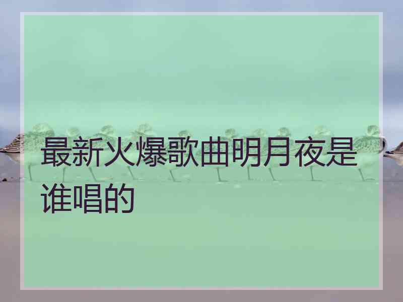 最新火爆歌曲明月夜是谁唱的