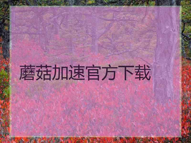 蘑菇加速官方下载