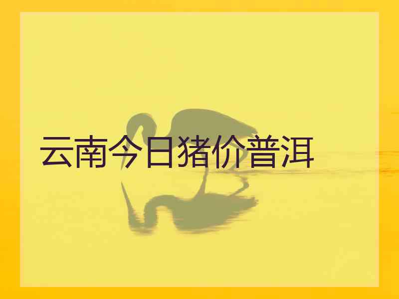 云南今日猪价普洱