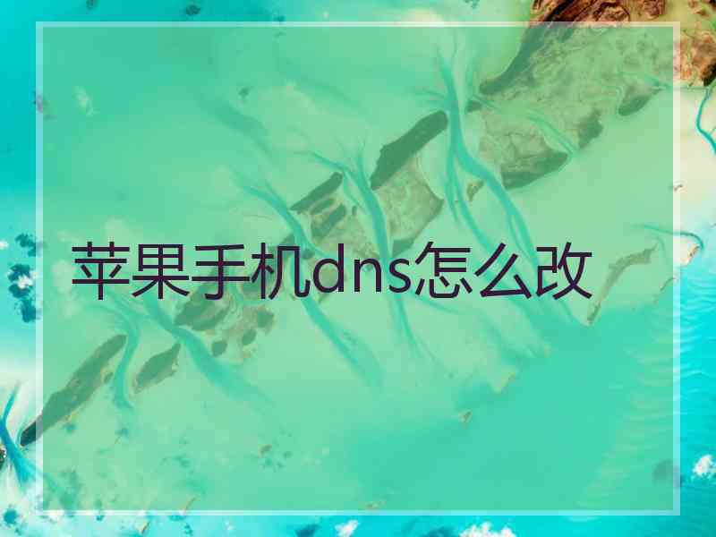 苹果手机dns怎么改