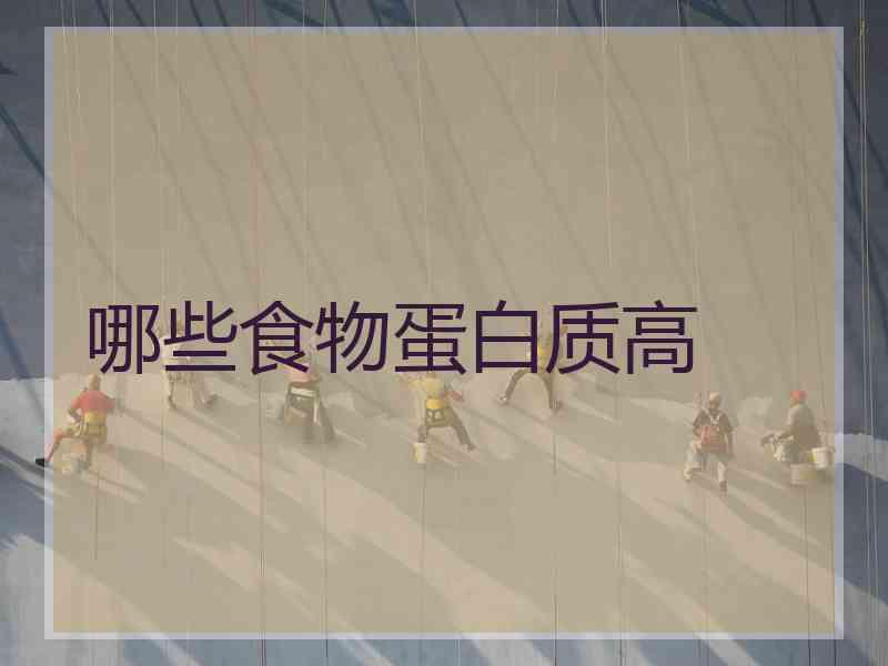 哪些食物蛋白质高