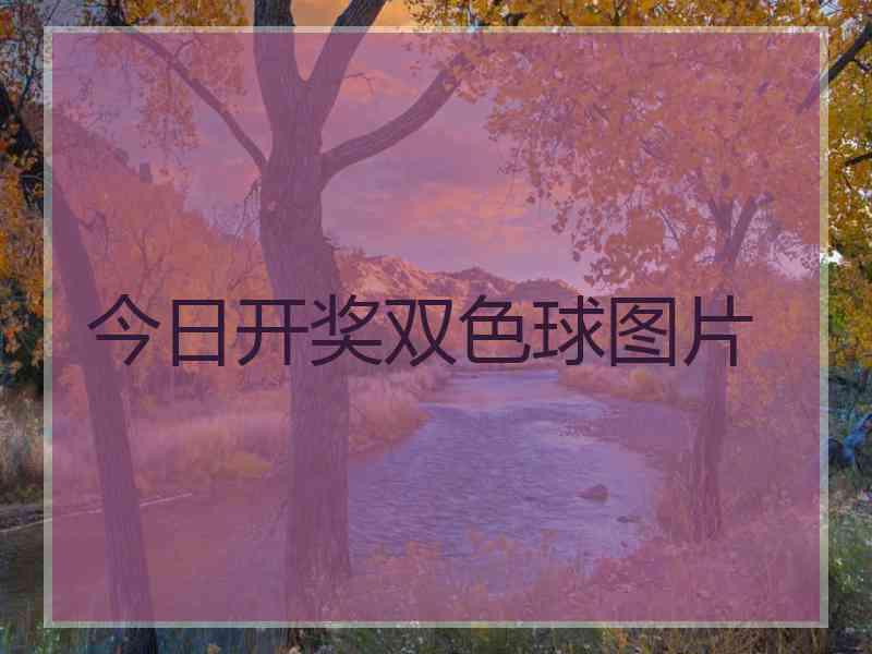 今日开奖双色球图片