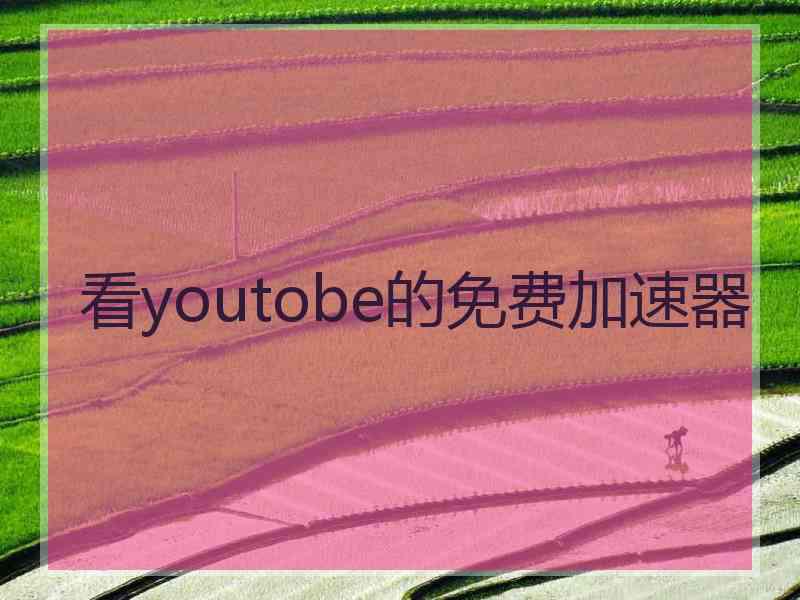 看youtobe的免费加速器