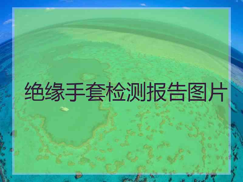 绝缘手套检测报告图片