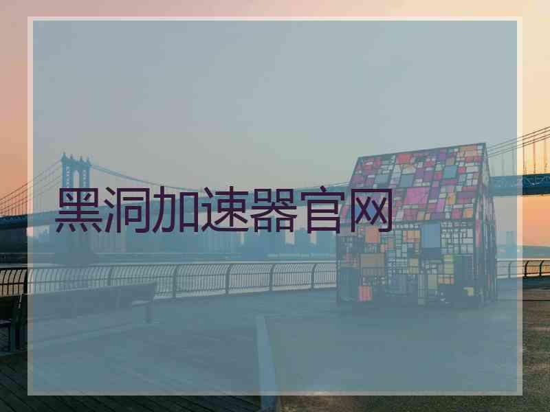 黑洞加速器官网