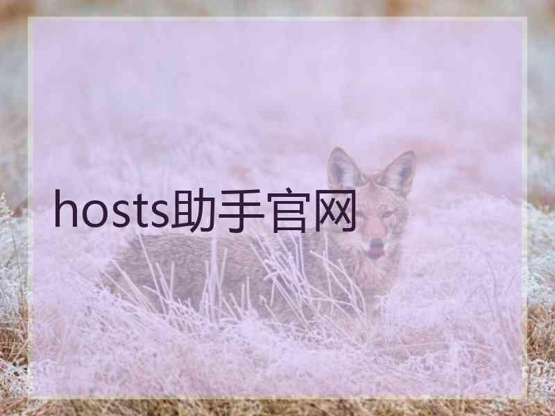 hosts助手官网
