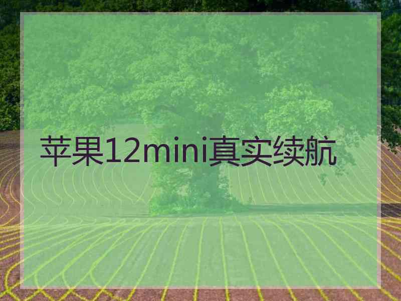 苹果12mini真实续航