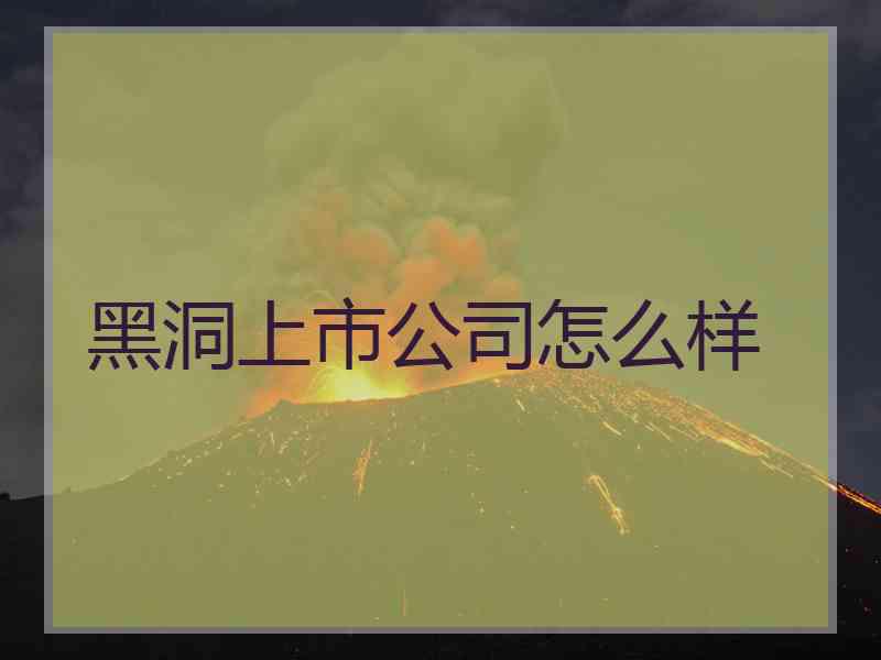 黑洞上市公司怎么样