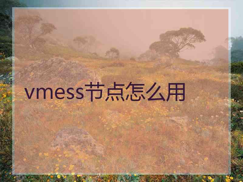 vmess节点怎么用