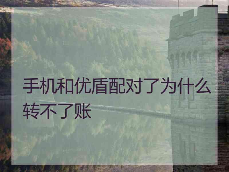 手机和优盾配对了为什么转不了账
