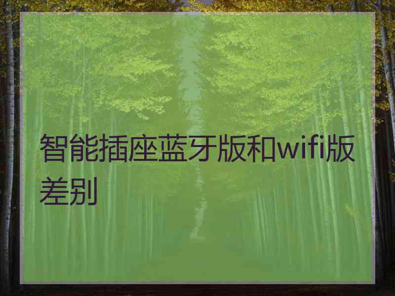 智能插座蓝牙版和wifi版差别