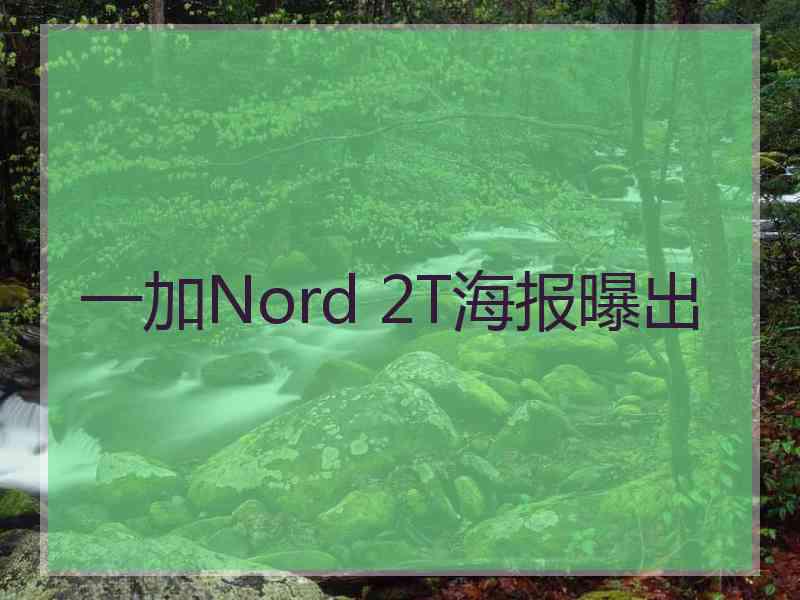 一加Nord 2T海报曝出