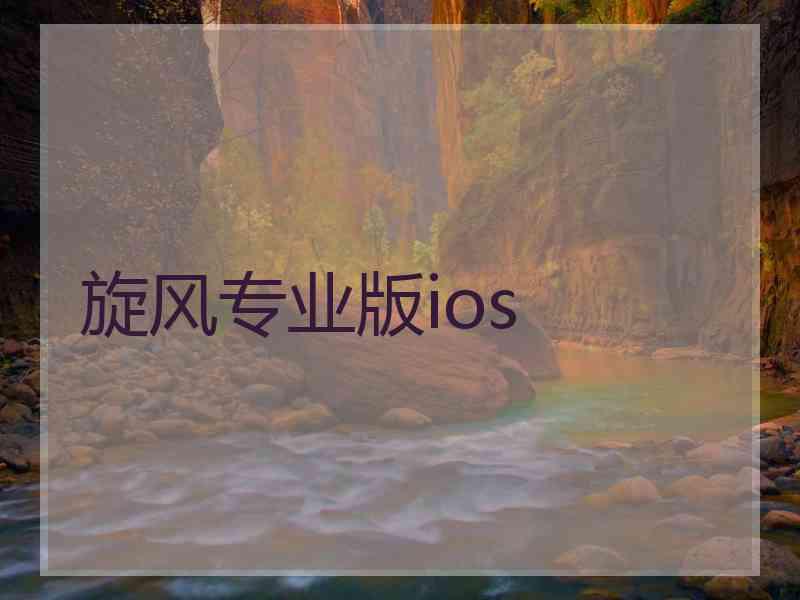 旋风专业版ios