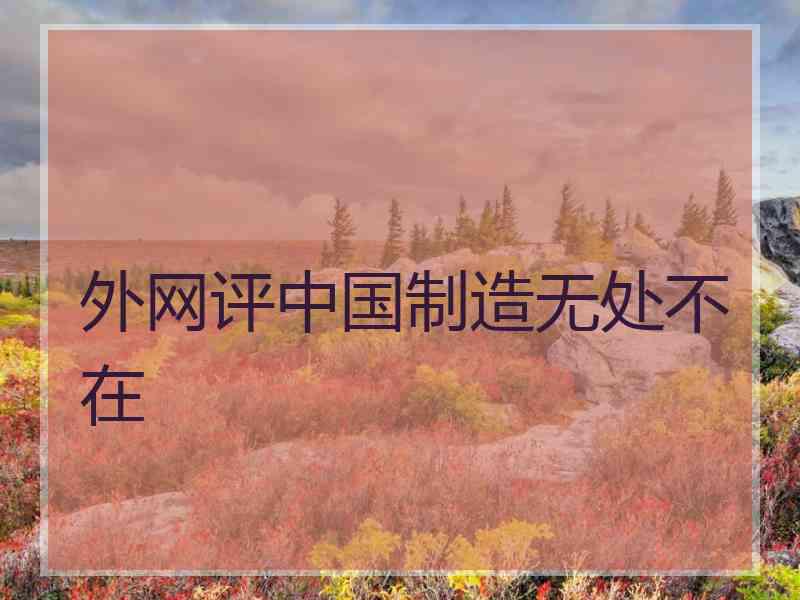 外网评中国制造无处不在