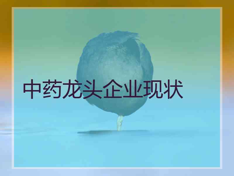 中药龙头企业现状