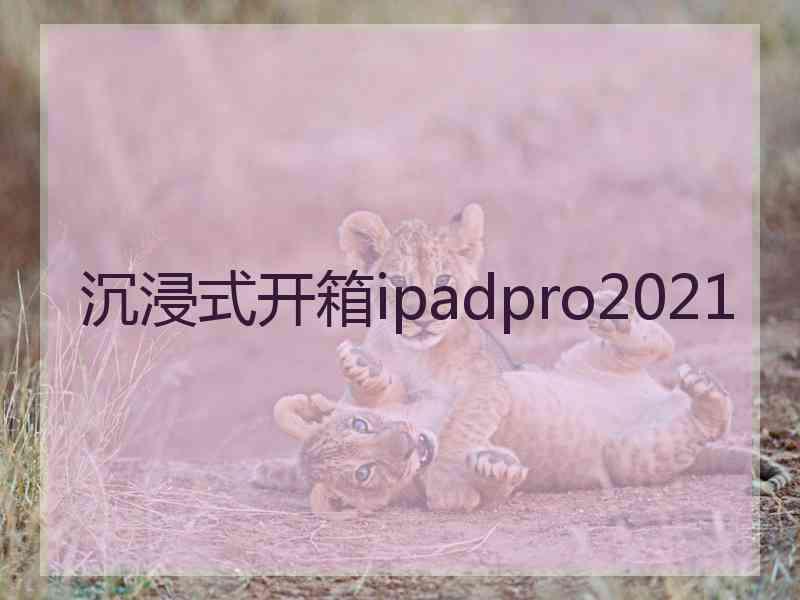 沉浸式开箱ipadpro2021