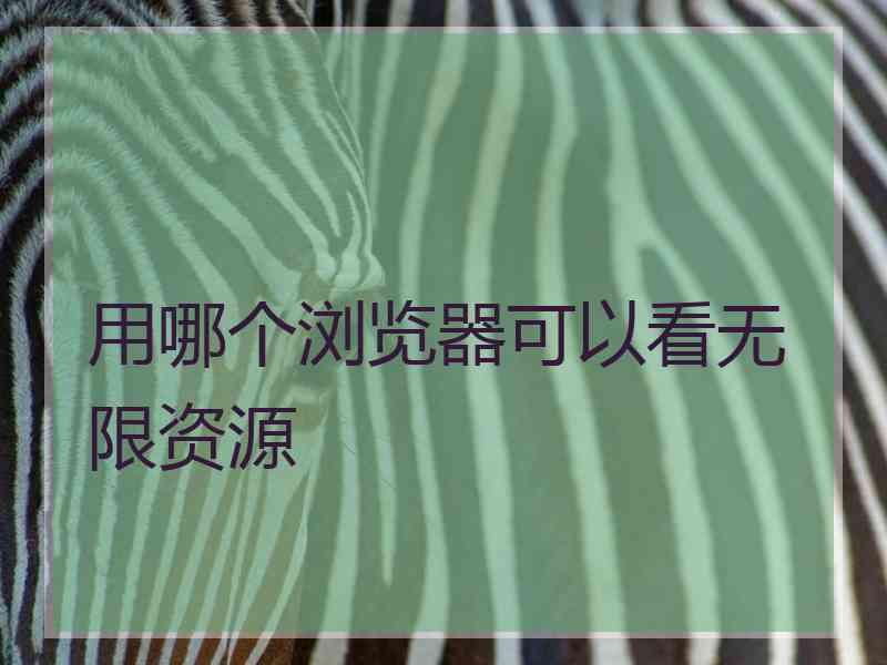 用哪个浏览器可以看无限资源