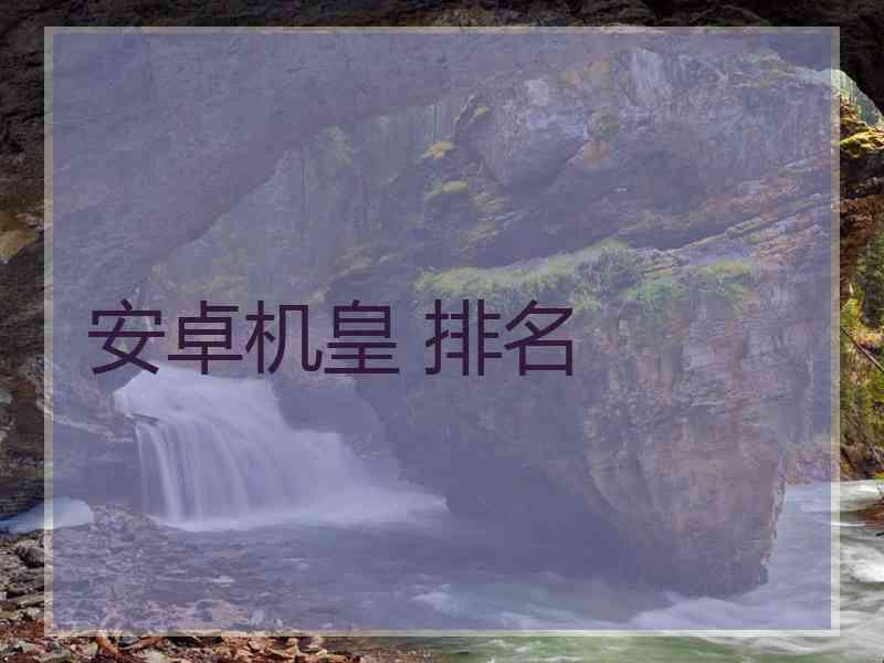安卓机皇 排名