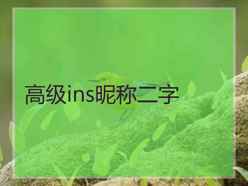 高级ins昵称二字