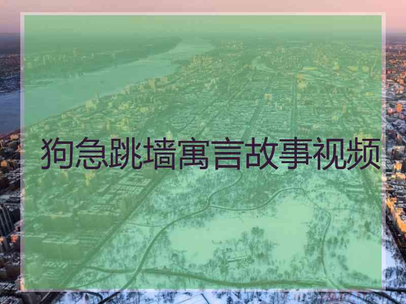 狗急跳墙寓言故事视频