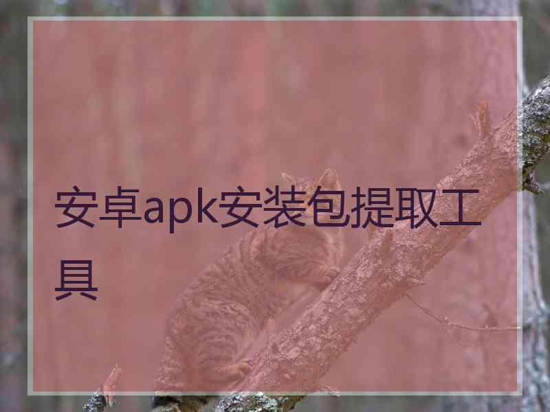 安卓apk安装包提取工具