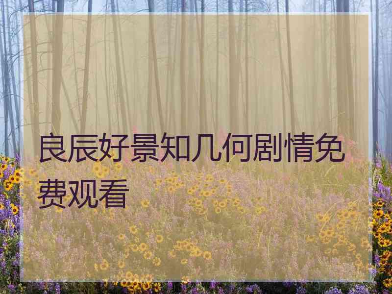 良辰好景知几何剧情免费观看