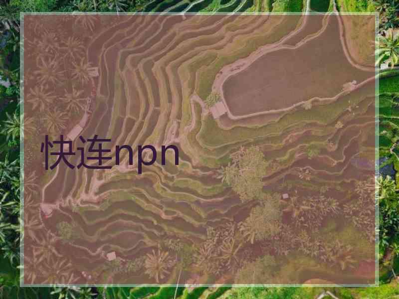 快连npn