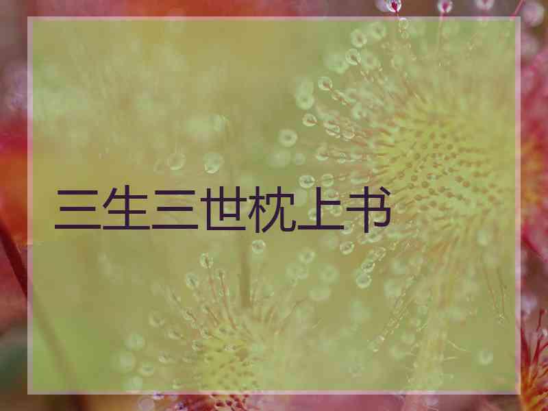 三生三世枕上书