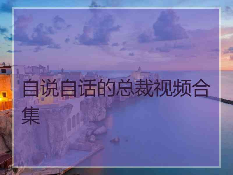 自说自话的总裁视频合集