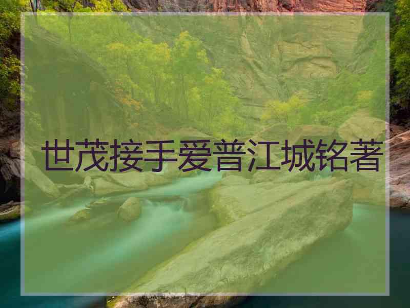 世茂接手爱普江城铭著