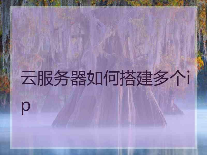 云服务器如何搭建多个ip